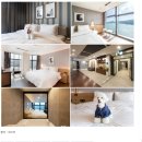 댕가댕가 | 애견동반식당 애견동반펜션 더이상 힘들게 찾지말고 댕댕아가자 댕가댕가에서 간편하게!