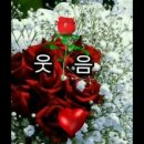 조은하루 - 서구 | 조은하루