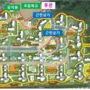 금빛초등학교 맞은편 이미지