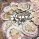 수민이네 | <수민이네> 부산 조개구이하면 해운대 청사포! 청사포하면 떠오르는 조개구이 맛집 내돈내산 후기
