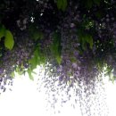 만물상회 이미지