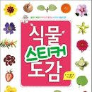 식물도감 이미지