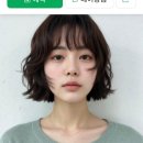 페이브헤어 - 제주시 | 페이브헤어