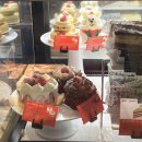 (12/12)크리스마스 홈파티_티뱅쇼 | 25년 스타벅스 크리스마스2 클래식 뱅쇼 히비스커스 티,캐모마일 허니 티라떼 후기