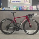 자이언트 서초 까만돌자전거 | [My Cycling Diary] 정신없이 맞이하는 새해