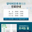 양이비인후과의원 이미지