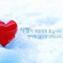 아름다운날들 이미지