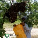 영암소방서(영암구조대) 이미지