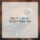내 몸을 깨우는 홈트레이닝 이미지