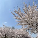 화랑유원지(제1주차장) 이미지