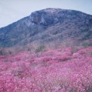 비슬산휴양림운동장 이미지