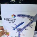 캠프통포레스트 이미지