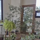 차진열농장 | 숨겨진 숲속 핫 플, 유칼립투스 농장 카페