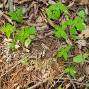 무이농장 이미지