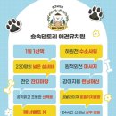 숲속댕토리애견유치원 이미지