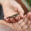 전통놀이지도사(야간) 이미지