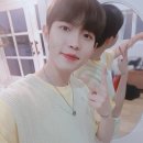 네스테이 이미지