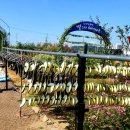 대열농장 이미지