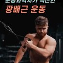 어쩌다 달밤체조 이미지