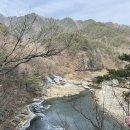 낙동강세평하늘길 이미지