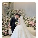 레이나호텔 | 호텔수성 피오니홀 + 대구 레이나모라 웨딩드레스 후기