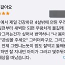 고양이 말 번역기 리뷰 너무 슬픔 이미지