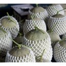 유기농장 이미지