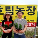 이상철농장 이미지