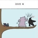 작은 하마 이야기[코쿤] 이미지