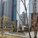 수복공인중개사사무소 | 대학생 자취방 찾다가 만난 별하람부동산 풍경채단지내탑공인중개사사무소 후기