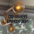 카리노헤어