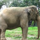 영기농장 이미지