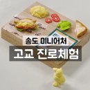 박문여자고등학교 | 송도 인천 연수구 미니어처 박문여자고등학교 고교 진로체험