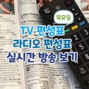 태진 농장 | 오늘 목요일 TV편성표와 라디오 편성표, 실시간 방송 보기