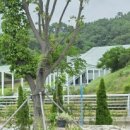 예울마루로 이미지