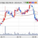 (주)대우인터내셔널 이미지