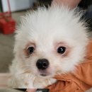 GS25평택신장점 이미지