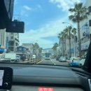 w-11 l 제주 스냅 오가닉스냅 촬영 후기