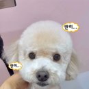 장미미장원 이미지