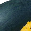 장수흥농농약사 이미지