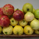 기현2농장 이미지