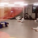 대한체육관 2도장(태권도) 이미지