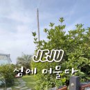 섬에 머물다 이미지