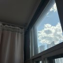 내안에유산부인과의원 | [계류유산] 소파술 당일 후기 / 통증 / 비용 / 유전자검사