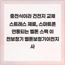 충전식이라 건전지 교체 스트레스 제로, 스마트폰 연동되는 벨톤 스펙 이천보청기 벨톤보청기이천지사