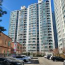 반도보라 이미지