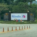 담양 리조트가족호텔 | 무주/덕유산리조트 가족호텔 골드 백합동 숙박 후기