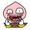 후후박스 이미지
