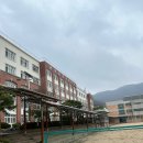 분당중앙고등학교 이미지