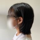 백수가 제일 바쁨.
